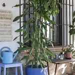 Hébergement de vacances Casa Isabel *